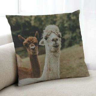 Llama pillow best sale walmart