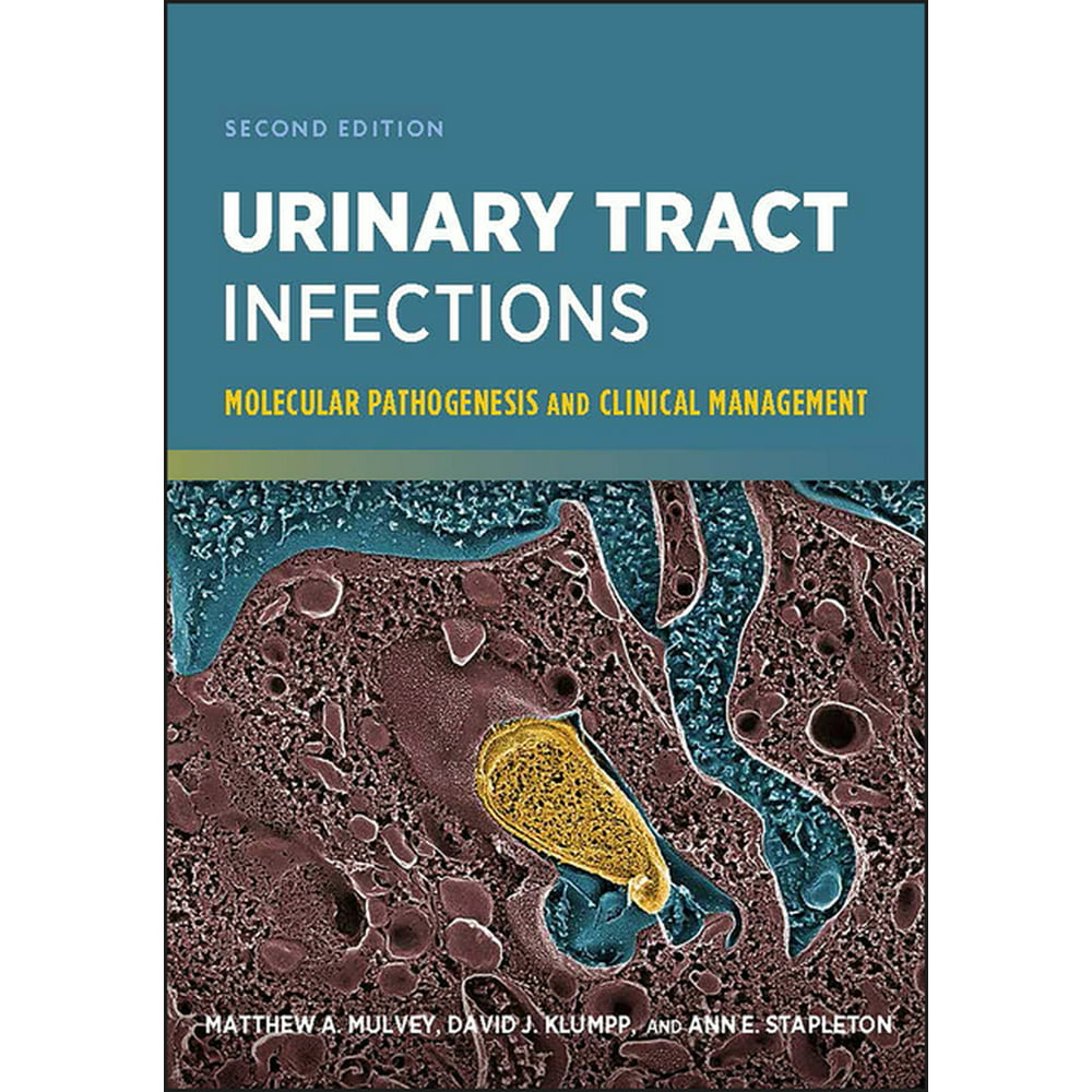 literature review urinary tract infection