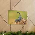 thumbnail image 6 of Majestic Scorpion Art Majestic Scorpion Print Animal Wall Art Wildlife Canvas Prints Wall Art Ready to Hang Unframed, 6 of 18