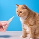 thumbnail image 1 of Cepillo de dientes para mascotas: refresca el aliento, blanquea los dientes y elimina residuos. Lápiz limpiador dental de 5 ml., 1 of 8