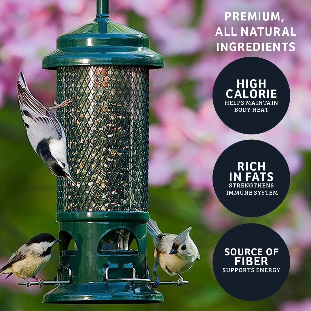 Birds Choice Black Oil Sunflower Wild Bird Food - 15 lbs.