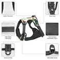 thumbnail image 3 of Vsdgher Cute Carrot Pattern Dog Harness,No Pull Pet Harness with Soft Padded Handle,Adjustable Reflective Vest with 2 Buckles,4 Slide Buckles,S-XL Medium, 3 of 5