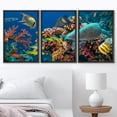 thumbnail image 3 of wall26 - 3 Piece Framed Canvas Wall Art - Colorful Underwater Offshore Rocky Reef with Coral and Sponges - Modern Home Art Stretched and Framed Ready to Hang - 24"x36"x3 BLACK, 3 of 5