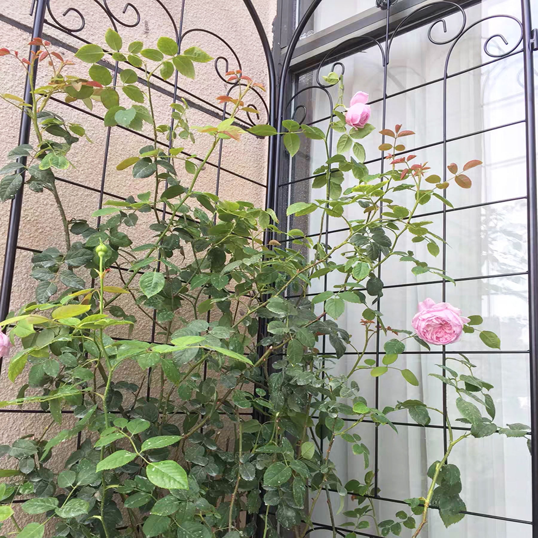 4 Pack Large Garden Trellis 86.7" H x 19.7" W Heavy Duty Rustproof Black Iron Plant Trellis for Potted Plant Support Metal Climbing Rose Trellis Vine Vegetable Cucumber