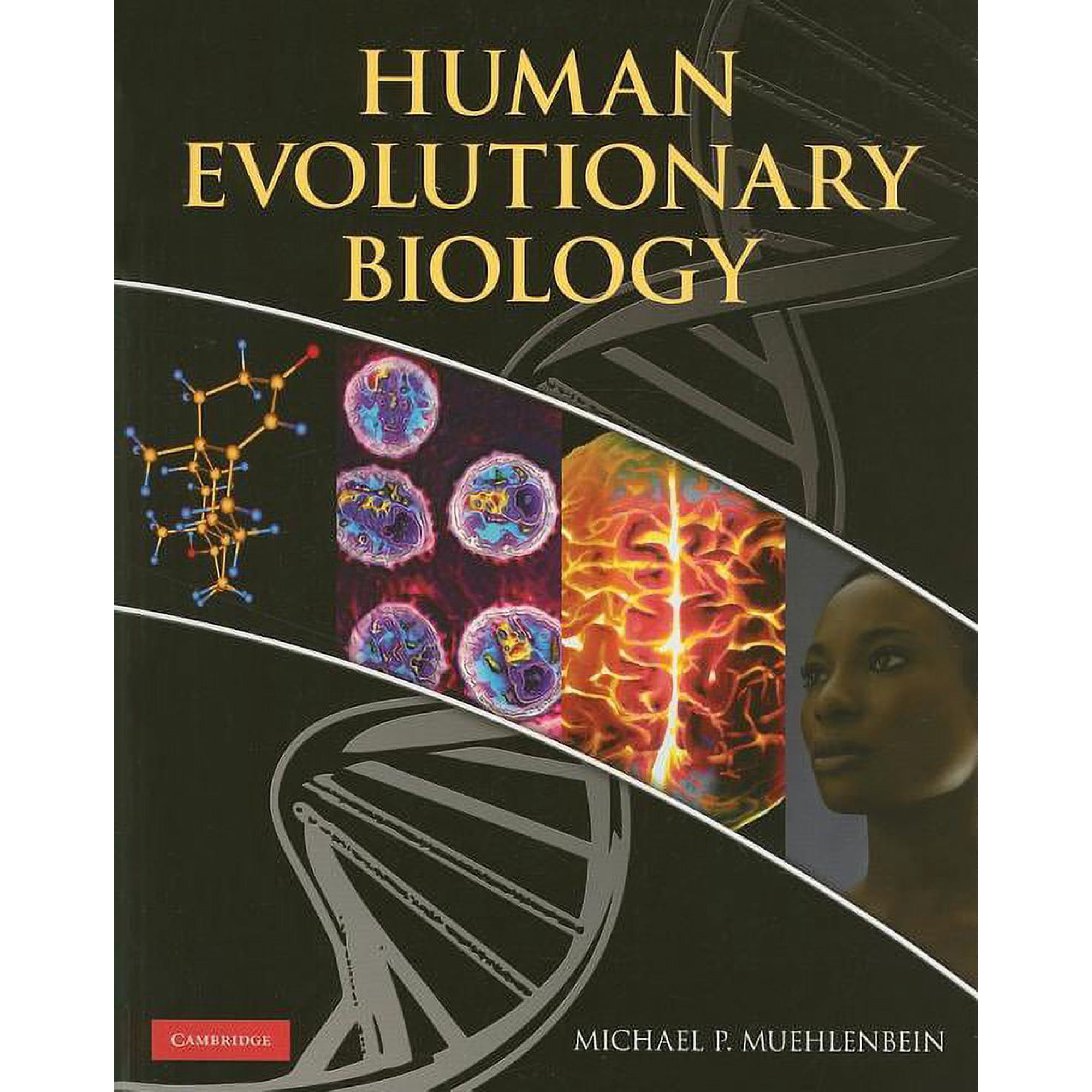 Human Evolutionary Biology (Paperback)