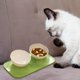thumbnail image 1 of Tazón de comida para perros y gatos, estación de alimentación inclinada elevada de 15  degree, plato ajustable para gatos, tazón de alimentación 2 Yinane  comedero elevado para gatos, 1 of 8