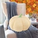 thumbnail image 1 of Cojín de calabaza | Cojín decorativo navideño para sofá o cama | Decoración de otoño y Halloween | Peluche de 40 cm | Regalo ideal, 1 of 6