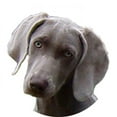 thumbnail image 2 of CafePress - Weimaraner Mug - 11 oz Ceramic Mug - Novelty Coffee Tea Cup, 2 of 3