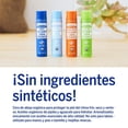 thumbnail image 3 of Bálsamo Labial Orgánico Dr. Bronner's Naranja Jengibre Hidratante y Restaurador (6 Pack), 3 of 5