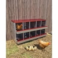 thumbnail image 1 of 10 Compartment Galvanized Steel Chicken Nesting Box - Wall Mounted with Egg Tray Perch & Fake Eggs for Coops, 1 of 7