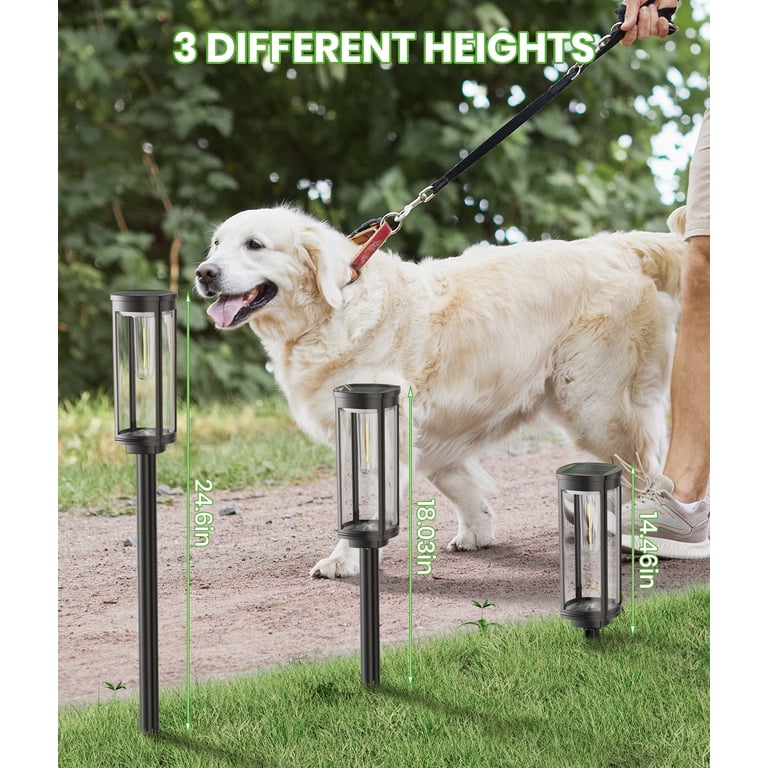 BITPOTT Solar Pathway Lights Outdoor, 6-Pack, Cool White photo 2