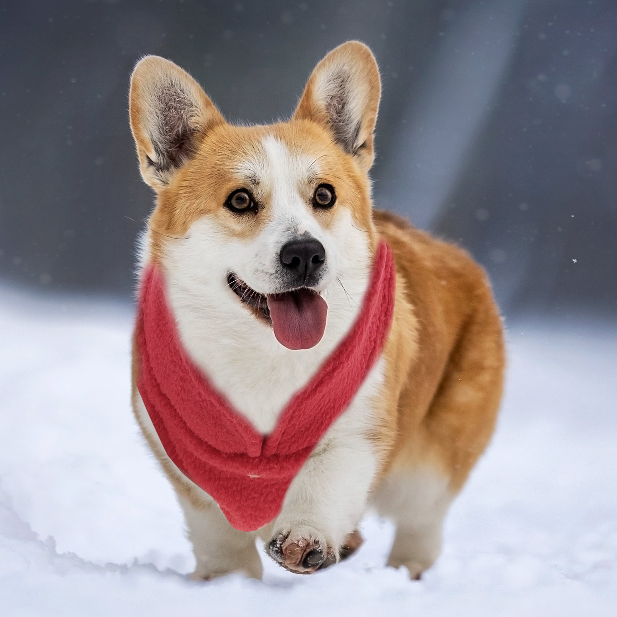 Unique Bargains Dog Cat Warm Vest Small Dog Cat Jumpers Red S