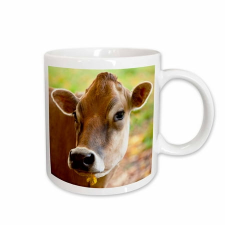 Cow Large Mug - 3dRose Happy Jersey cow, South Woodstock, Vermont, USA - US46 BJN0043 - Brian Jannsen, Ceramic Mug, 11-ounce