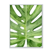Designart 'Close Up Green Monstera Leaf Tropical Palm' Tropical Framed Canvas Wall Art Print