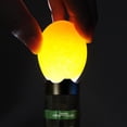 thumbnail image 1 of Yescom 5W LED Egg Candler Tester White Light for Incubator Brooder Chicken Hen Quail Poultry Candling Yescom Modern, 1 of 5