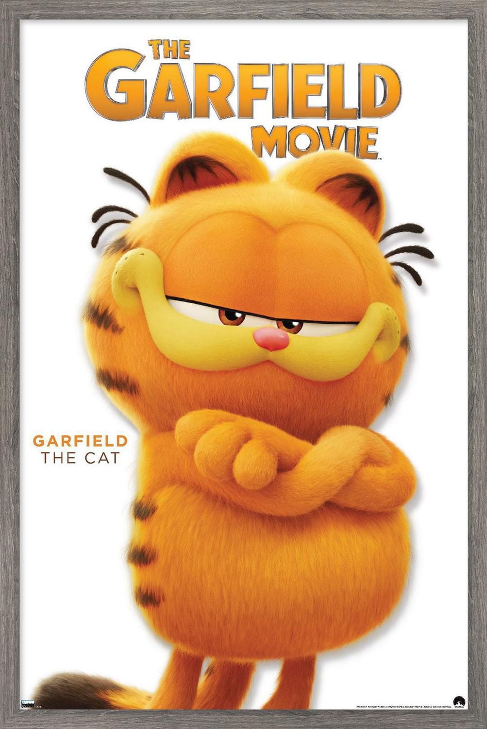 The Garfield Movie - Garfield Feature Series 24 Wall Poster with Magnetic Frame, 22.375" x 34"