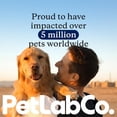 thumbnail image 4 of PetLab Co. Salmon Itch Relief Chew Pro for Dogs – Omega 3 for Dogs Itch Supplement - Packed with Beneficial Fatty Acids for Healthy Skin – Seasonal Allergies Support - Packaging May Vary, 4 of 8