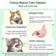 thumbnail image 5 of Bolas de hierba gatera, juguetes comestibles para gatos que lamen, 5 of 5