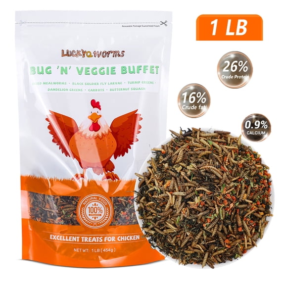 LuckyQworms 1LB Chicken & Reptile Treats - Dried Mealworms, BSFL & Veggies, High-Protein Natural Snacks for Hens, Birds, Ducks, Reptiles & Hedgehogs