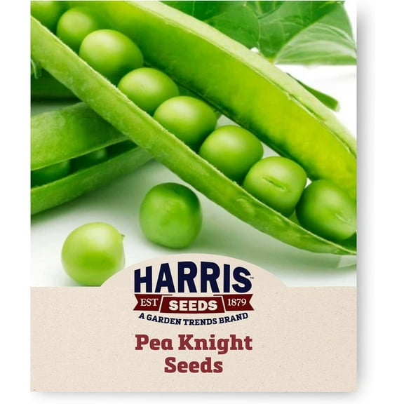 Harris Seeds - Treated Pea Seeds Knight Variety Non-GMO Tender Long Pods Green Berries 100 Seeds
