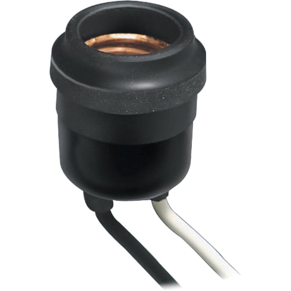 Leviton Outdoor Lamp Socket - Pack of 6 — Residential Use, Standard Application