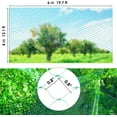 thumbnail image 2 of Tutuviw Anti Bird Netting Trellis Netting Plastic Trellis Netting Garden Netting Protect Fruit and Vegetables from Birds and Animals(Green 13.2 x 19.8 Feet), 2 of 8