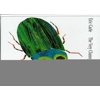 Pre-Owned The Very Clumsy Click Beetle Eric Carle Paperback