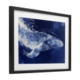 thumbnail image 2 of Stupell Industries Modern Whale in Motion Black Framed Print Under Glass, 20 x 14, by Chromatic Storm Studio, 2 of 8