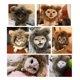 thumbnail image 5 of 2 sombreros para mascotas Diadema ajustable Peluca de Halloween Diadema Sombrero Gato y perro Divertido León Sombrero (M) oso de fresa Electrónica, 5 of 5