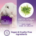 thumbnail image 7 of Blonde Bondox Hair Treatment 8.8 oz, Hair Mask for All Hair Types - Formaldehyde-Free & Cruelty-Free - Results for up to 1-3 months - Marine Collagen & Almond Oil - Moisturizer Thermal Mask, 7 of 7