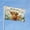 Highland Cow, variant on Welcome Daisy Highland Cow Garden Flags for Outside 3x5 Ft Large House Flag Double Sided Butterfly Highland Cows Flags Housewarming Gifts for Women Highland Cow Lovers Men Yard Outdoor Patio Decor