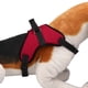 thumbnail image 5 of Suministro para mascotas, pecho de tela para perros, arnés para perros, correas para el pecho para perros, diseño de próxima generación, 5 of 9