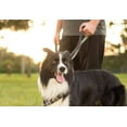 thumbnail image 4 of Leashboss 3X - Two Handle Dog Leash with Extra Traffic Handle - Heavy Duty Double Padded Handle Lead for Walking and Training Large Dogs, 4 of 6