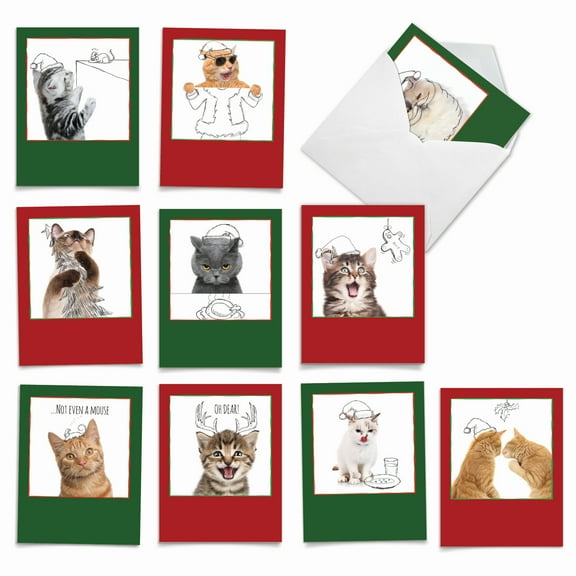 10 Merry Christmas Note Cards Pack (4 x 5.12 Inch) - CHRISTMAS CATS & DOODLES M6583XSG