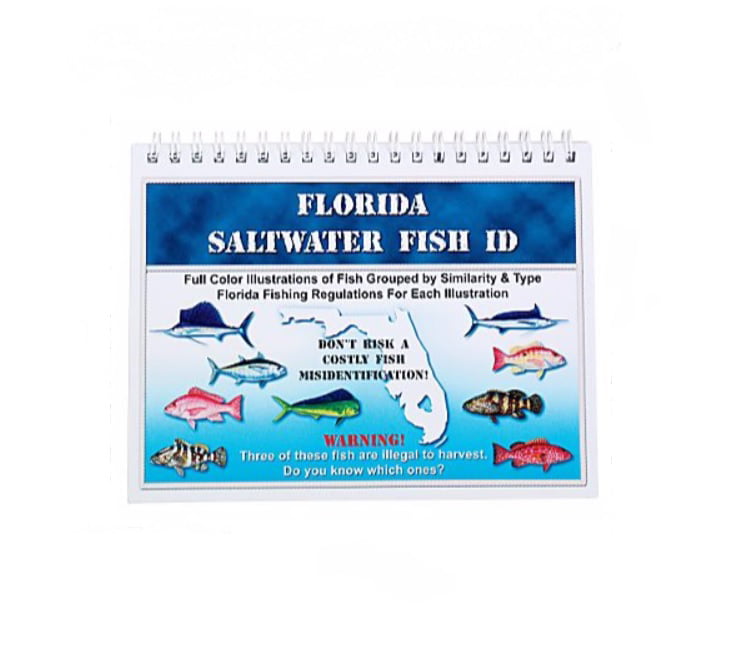 Florida Saltwater Fishing Regulations Quick Chart
