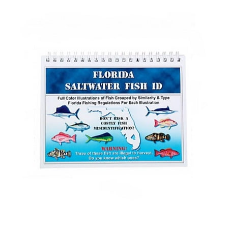 Folsom Of Florida Saltwater Fish Florida Id Chart (Best Saltwater Fishing In Florida)