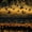 Dark Brown, variant on Manfei Wild Mallard Duck Shower Curtain 72Wx72L,Rustic Bird Bathroom Curtain