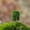 H-2.13 Inch, variant on Miniature Model Trees, Micro Landscape Fake Trees, Diorama Scenery Tree, Artificial Mini Tree Ornament Realistic Foliage, Mini Model Trees for Micro Scene DIY Craft Arrangement Use 1Pcs