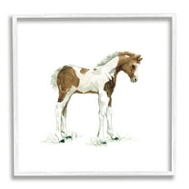 Young Farm Horse Minimal Country Animal over White Animals & Insects Framed Art Print Wall Art, 17x17