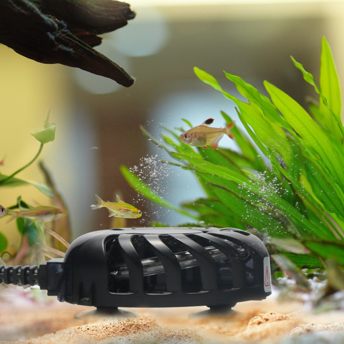 aquarium heaters at walmart