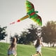 thumbnail image 4 of Cometas WDOplteas 3D Animal Dinosaurio Al Aire Libre 100m, 4 of 9
