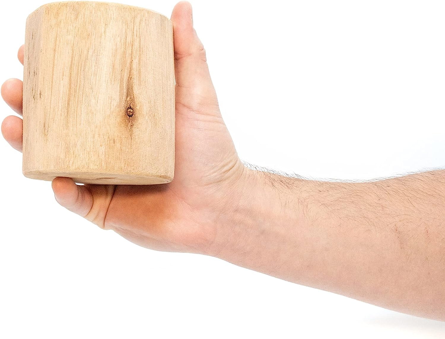 Air plant shop Driftwood Containers with Large Assorted Air Plants- Wholesale and Bulk - Succulents - Live Tillandsia - Easy Care Indoor and Outdoor House Plants (Pack of 3)