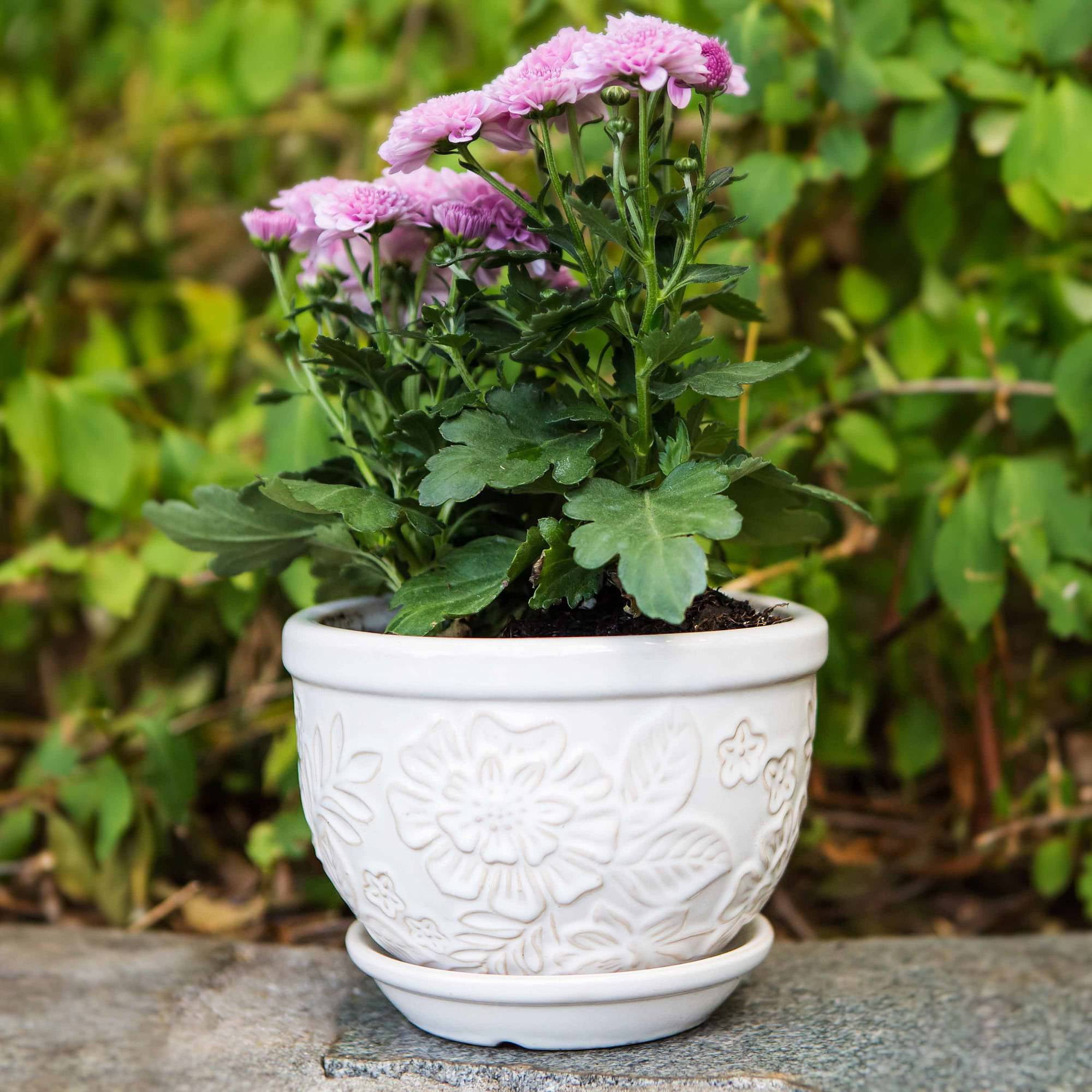 Pennington Ceramic Vintage Floral Pot/Planter, 8 inch eBay
