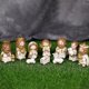 thumbnail image 3 of Versión de juego de natividad - 10 piezas de pesebre religioso de resina, versión bonita, decoración del hogar, juego de mesa, adornos decorativos, 3 of 5