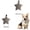 Black#619, variant on RuiJiao Dog Pet Stainless Steel Engraved Lettering Loss Tag