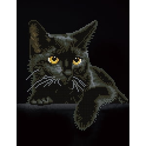 Diamond Dotz Black Cat Special Edition Diamond Painting