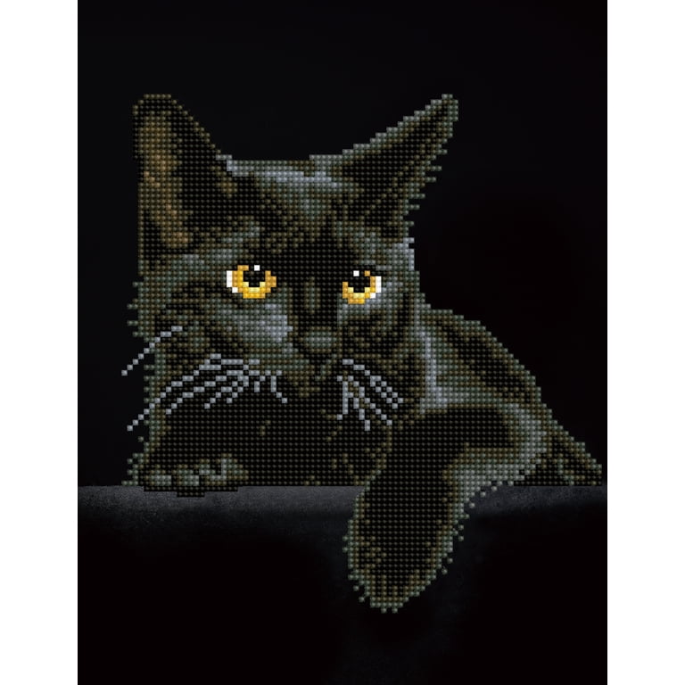 Diamond Dotz Black Cat Special Edition Diamond Painting photo 1