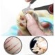 thumbnail image 3 of Small Animal Grooming Tool for Pet Nail Trimming and Parrot Claw Care黑色款式, 3 of 5