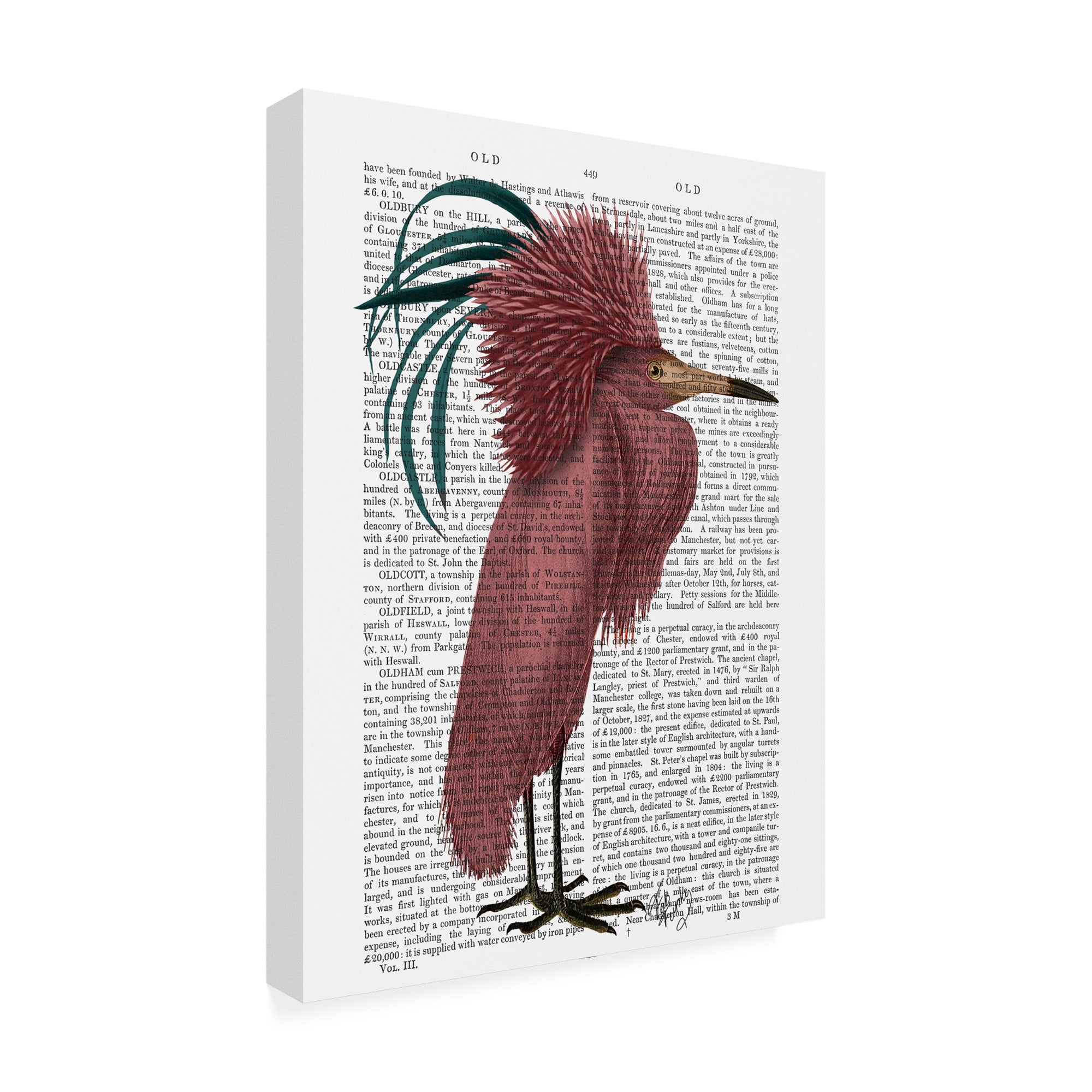 Trademark Fine Art 'Crested Marsala Bird' Canvas Art by Fab Funky