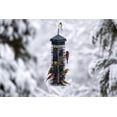 thumbnail image 3 of Comedero para pájaros Brome Squirrel Solution 200 con capacidad para semillas de 1,5 kg, 3 of 5